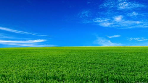 обои на рабочий стол природа hd подборки №502909 обои на рабочий стол природа hd № 502908 без смс