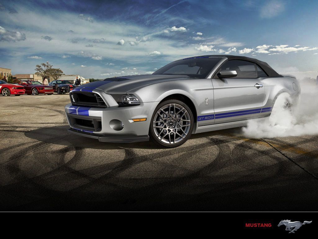 Ford Mustang Shelby GT 500 | eBay