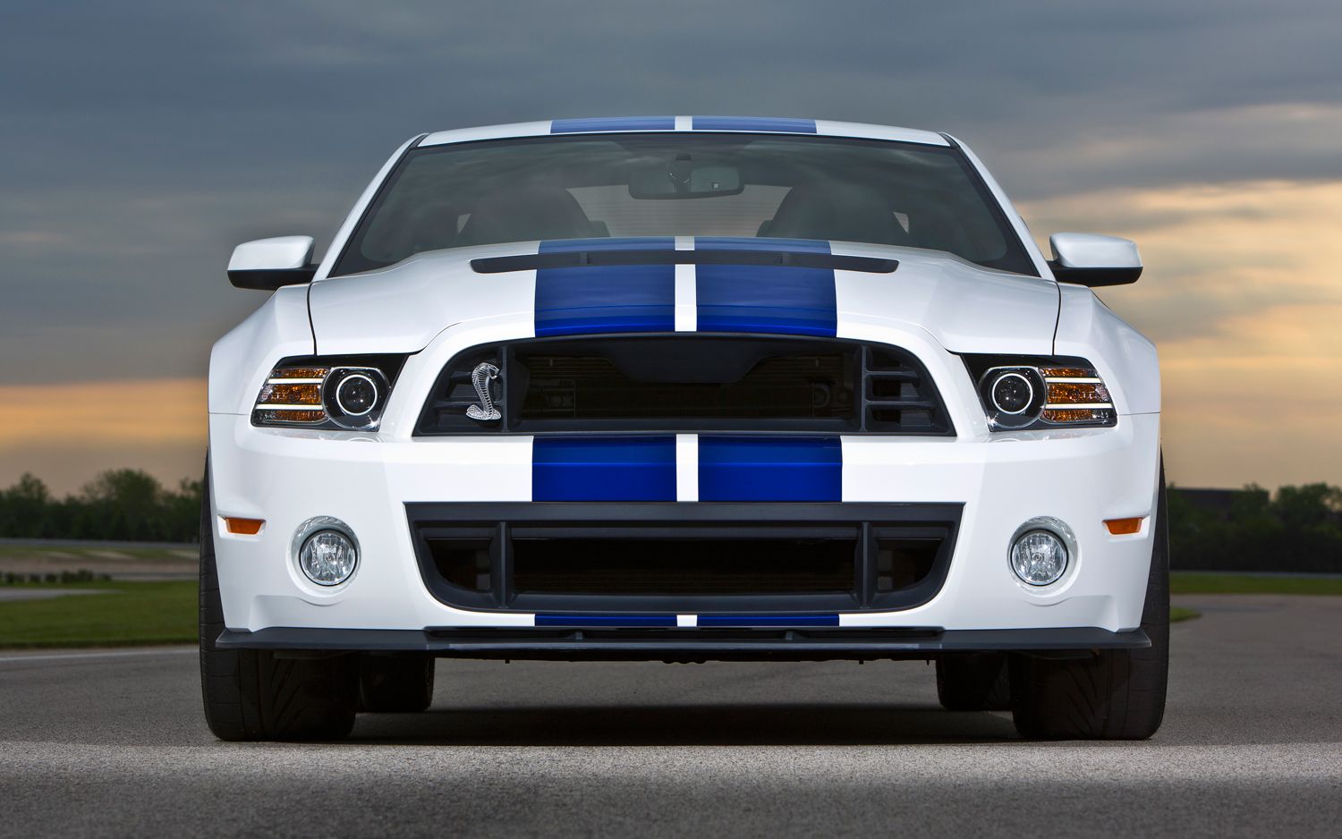 Ford Mustang Shelby GT500 - Wikipedia