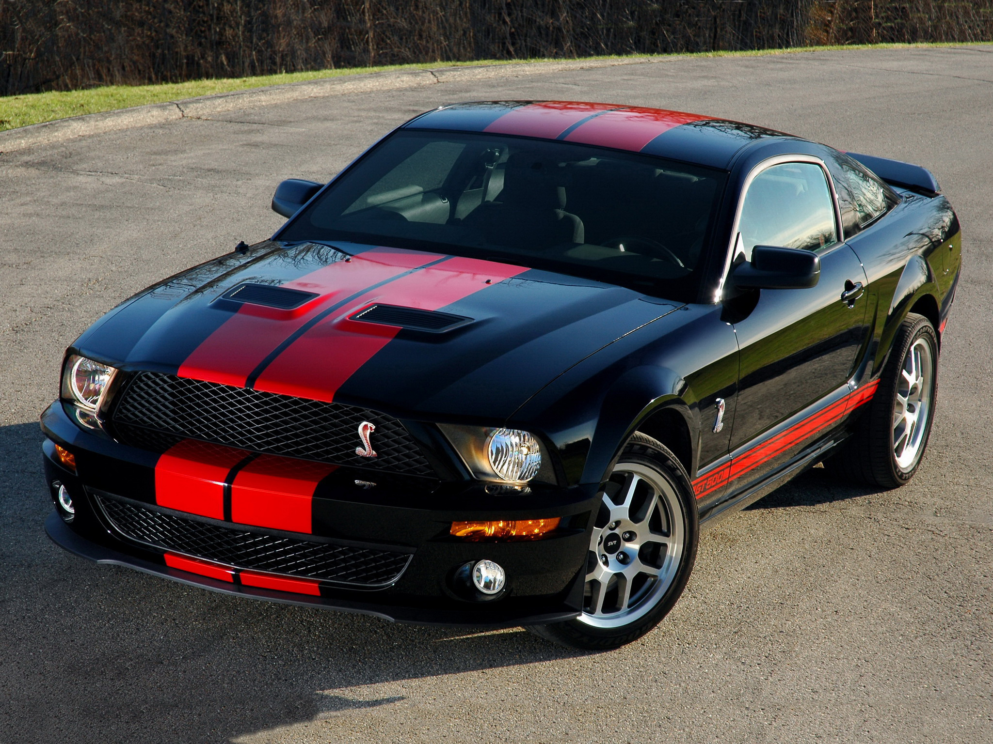 ford mustang gt 500 2007 #10