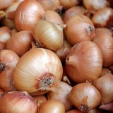 onions-1397037_1920.th.jpg