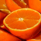orange-15047_1920.th.jpg