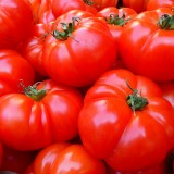 tomatoes-5356_1920.th.jpg