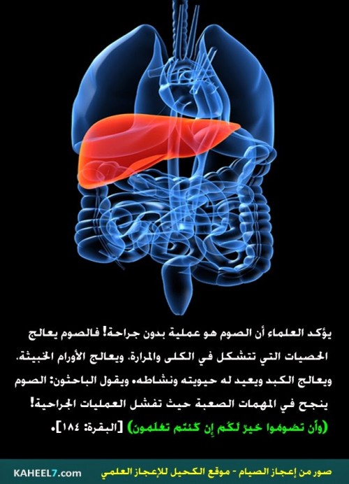 التأثير الفعلي للصيام على جسم الانسان